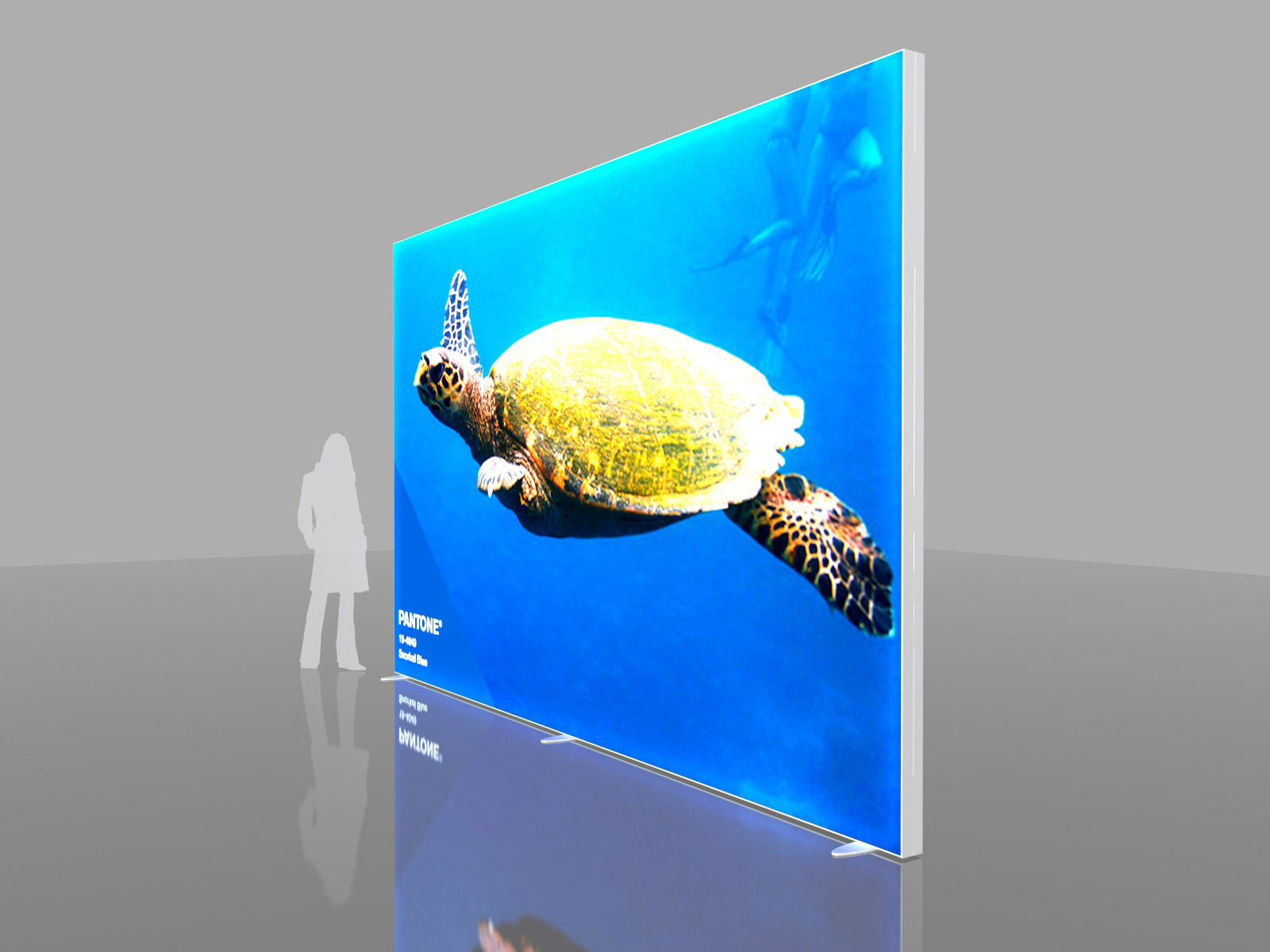 Large Single-Sided Lightbox Example 1