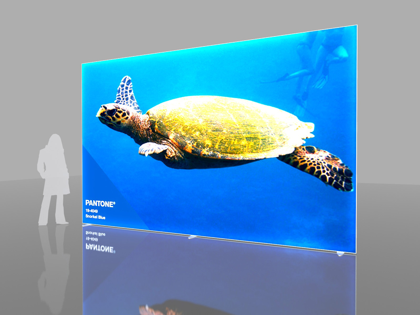 Large Single-Sided Lightbox Example 2